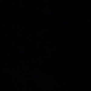 Meet your Posher, Jack